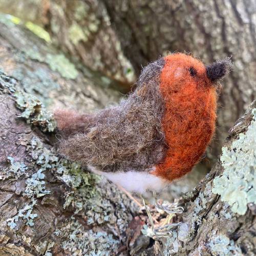 At Growing A Bunch Farm in Ashfield, some birds take flight, while others nestle in cozy nooks, like this lovely specimen felted by a participant last year in Lisa Fortin's fiber arts summer camp session.