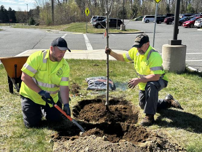 Jeff Thiem (left) and Mark Summers with the Department of Public Works put the finishing touches on the October Glory red maple planted at Athol Community Elementary School Wednesday morning. Fourth grade students and town officials were on hand for the event, which was held in honor of Arbor Day. 