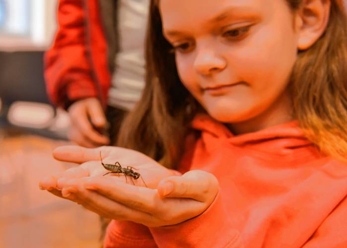 FAR LEFT: Leannah Johnson, 10, of Athol, holds a whip scorpion.