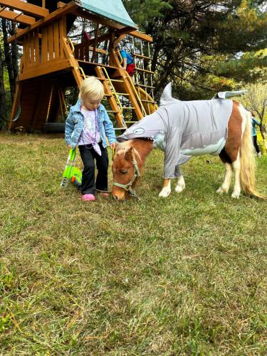 When Belchertown resident Jen Matos brings her animals to meet people at various events, it’s not unusual for a small human to greet a miniature horse wearing a shark costume.