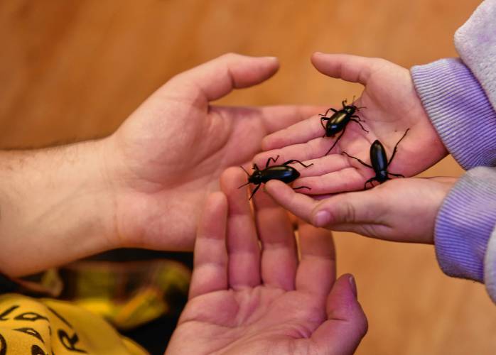 People, who wanted to, are able to handle beetles during a presentation on bugs at the Athol Public Library.