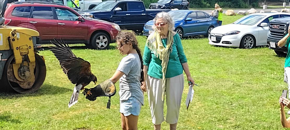 Harris’s hawk Mahood makes a landing on the arm of young Enes Tavares of Winchendon following a short flight at Winchendon Community Park.