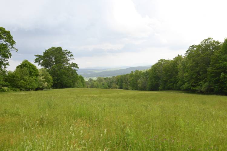 The upper pasture with views to the east at Moody Family Farm in Bernardston.