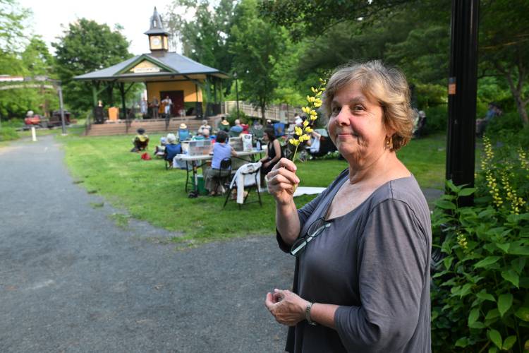 Sandy Thomas, who was instrumental in the creation of Energy Park, at the Coop Concerts in the park on Thursday evening.