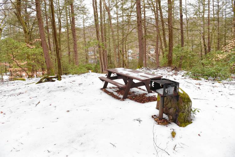 A campsite in Erving State Forest.
