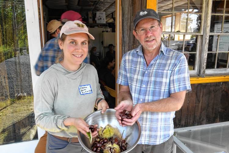 Ellena Baum and Jono Neiger of Big River Chestnuts Farm in Sunderland.