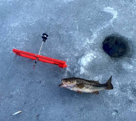 The big one. A nice largemouth taken while ice fishing by Sportsman’s Corner’s Mike Roche. 