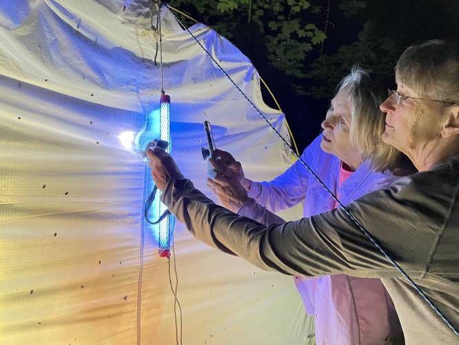 Attendees of last year’s Athol Moth Ball examine the species found in one of many stations around Dave Small’s home. Established in 2009 to coincide with National Moth Week, the event takes place on July 20. 