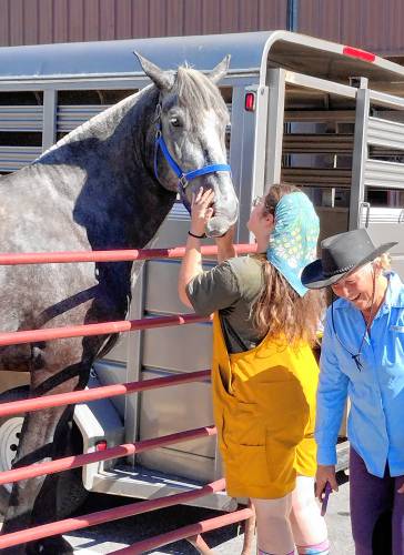 Cristen Lett (at right) of New Salem brought along Tungsten, one of several percheron horses owned by her and her daughter at the Fourth Friday event in Athol on June 28.
