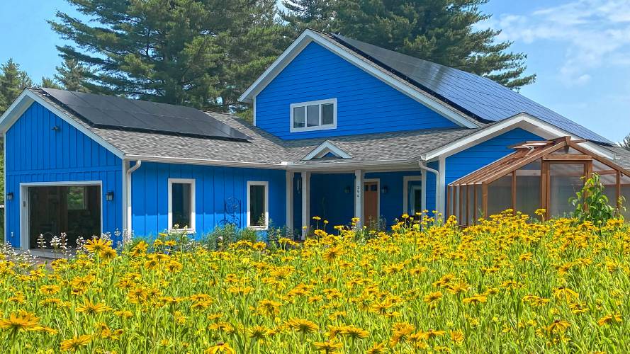 In the second year of their pollinator meadow, black-eyed susans blossom overtake Adam and Phippen’s yard.
