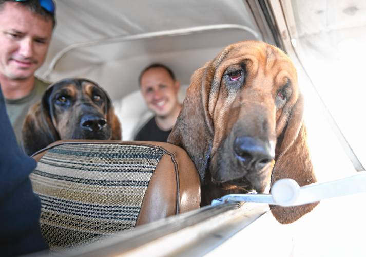 Tracking dogs and their handlers in a Cessna 172 at the Orange Airport on Monday. The event organized by the Northeast Houndsmen was to get the dogs used to the sounds and feel of flying in a small plane.