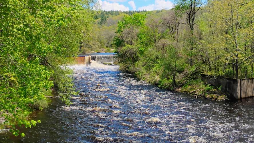 Water surges over this dam on the Millers River, seen from Athol's Chestnut Hill Avenue bridge. Water surges over this dam on the Millers River, seen from Athol's Chestnut Hill Avenue bridge.