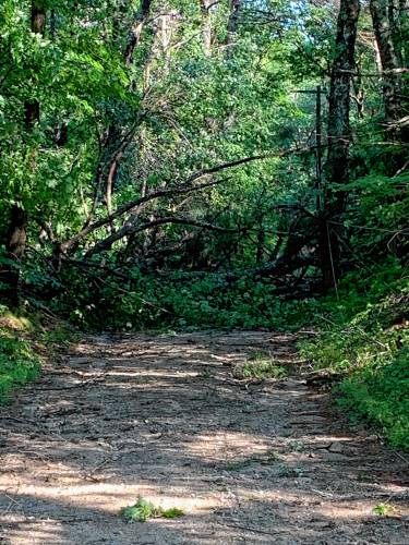 Beryl Hill Road in Royalston saw downed trees and power lines caused by last evening's storm, which swept across western Mass.