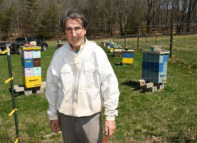Mark Burton of Bear River Bee Farm with his apiary in Ashfield.