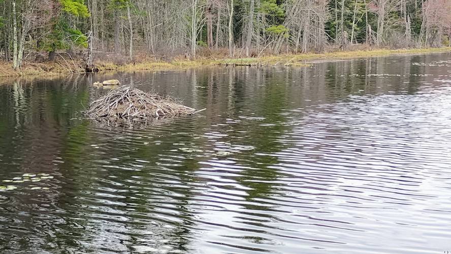 Eagle Reserve Conservation Area, which was purchased by the Mount Grace Land Conservation Trust in order to protect it.