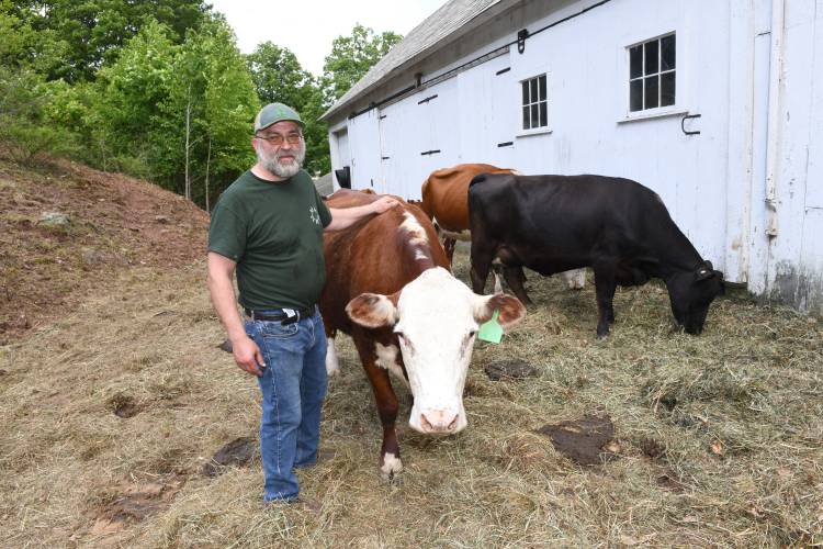 Aaron Moody of Moody Family Farm with some of his cattle. “We currently have 13 cows, including five cow-calf pairs. One mama had two calves with us here. We also have a bull and a heifer. We plan to grow to about 30 head to fit within our available pasture,” he says.