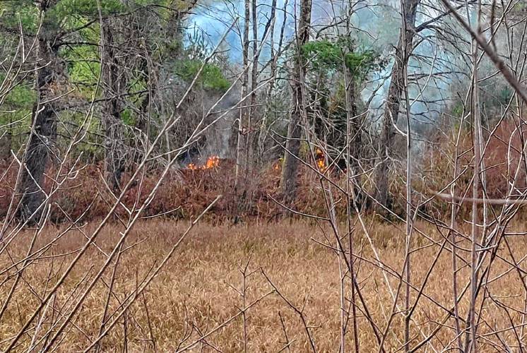 Crews from multiple departments extinguished a brush fire in Royalston on Sunday that burned a quarter acre.