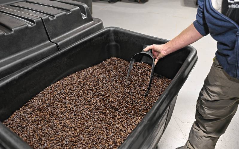 Freshly roasted coffee beans at Fogbuster Coffee Works in Greenfield.