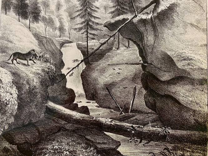 A rendition of Royalston Falls by Henry Van Lennep, found in Edward Hitchcock’s 1841 book- “Geology of Massachusetts.”