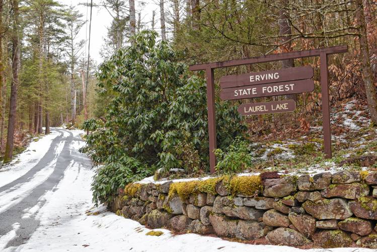 Erving State Forest and Laurel Lake.