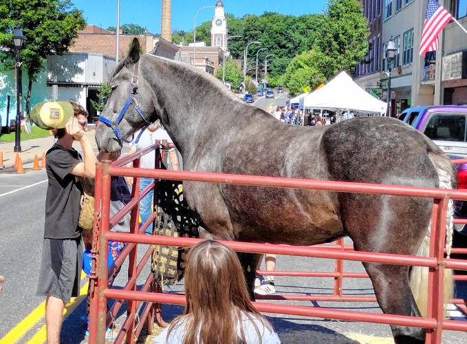 Tungsten, a percheron horse, was a popular sight at the June 28 Fourth Friday in downtown Athol. The event was organized by the Athol Downtown Vitality Committee. The final Fourth Friday of the summer will take place today from 4 p.m. to 7 p.m. Tungsten, a percheron horse, was a popular sight at the June 28 Fourth Friday in downtown Athol. The event was organized by the Athol Downtown Vitality Committee. The final Fourth Friday of the summer will take place today from 4 p.m. to 7 p.m.